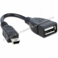 Переходник Mini usb - USB OTG..