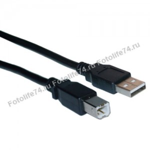 Купить Кабель для принтера, факса. USB A - USB B в Магнитогорске